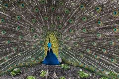 WhatsApp-Image-2026-03-09-at-20.47.43